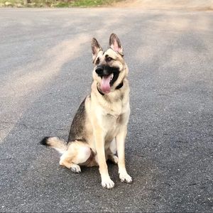 Meet your Posher, Hanna